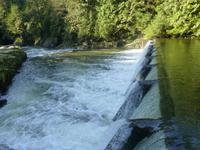 Capilano Salmon Hatchery
