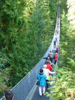 Capilano Suspension Bridge 