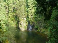 Capilano Suspension Bridge Park