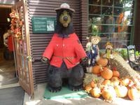 Capilano Suspension Bridge Park