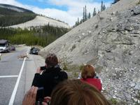 Entlang des Icefield Parkway