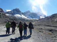 Am Columbia Icefield