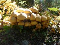 Wanderung zum Kinney Lake