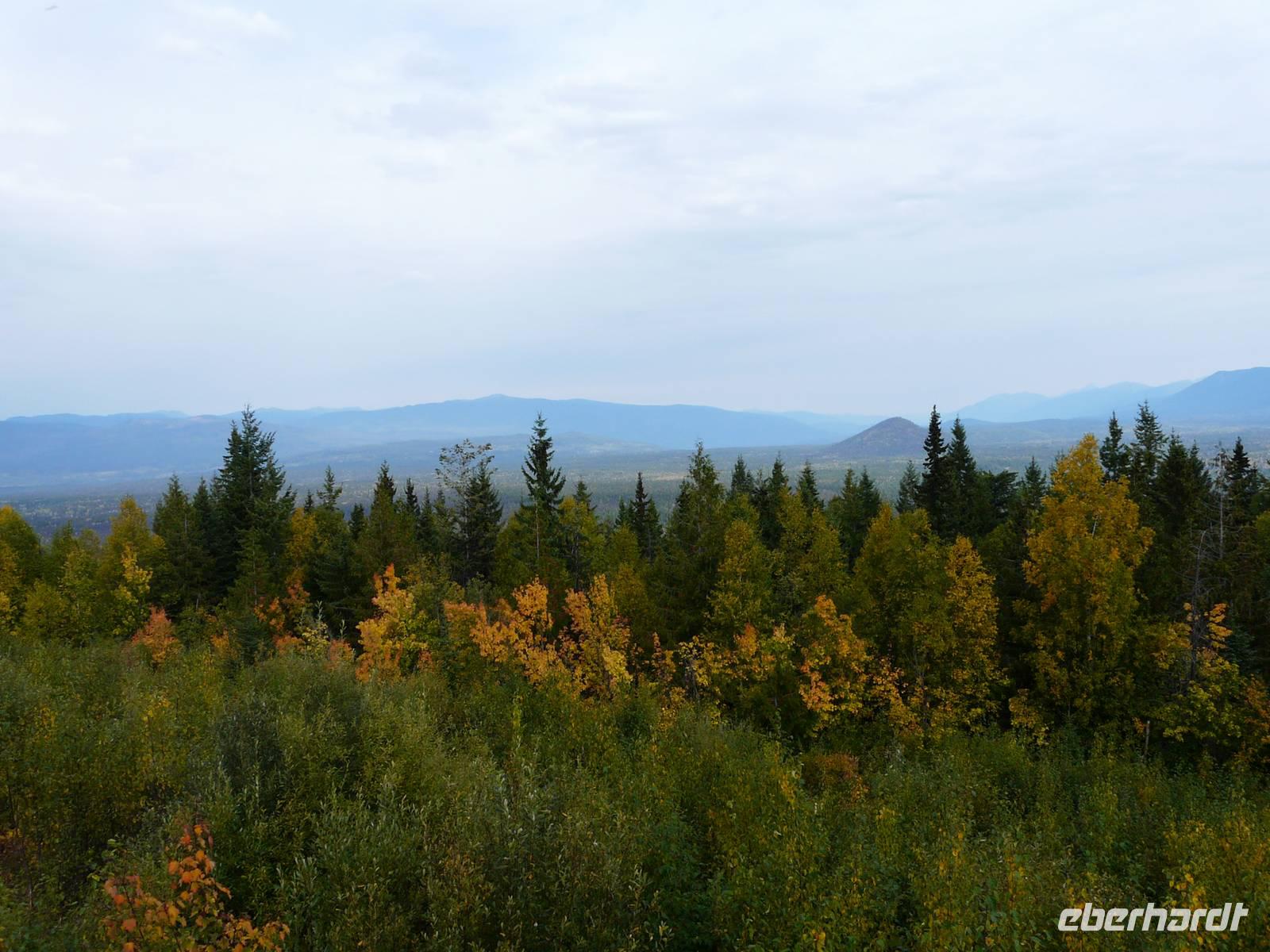 Aussicht über den Wells Grey National