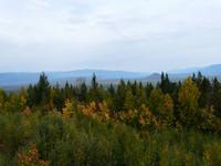 Aussicht über den Wells Grey National