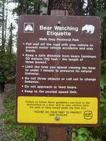 Bärige Verhaltensregeln