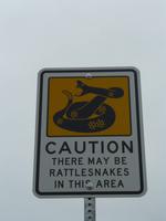 Klapperschlangen gibt's hier auch