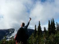 Fütterung der Whiskey Jacks