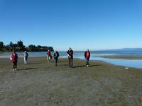 Am Strand von Parksville - Vancouver Island