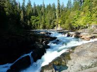 Lachswanderung an den Stamp Falls