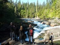 Lachswanderung an den Stamp Falls