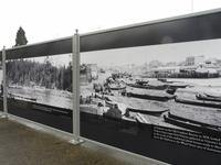 Victoria vor 150 Jahren