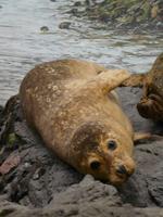 Im Royal B.C. Museum