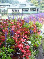Butchart Gardens