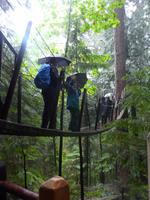 Capilano Suspension Bridge