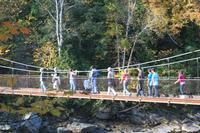Hängebrücke über den St. Anne Canyon