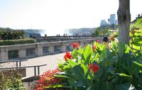 Blick von der Promenade über den Niagara-Fällen