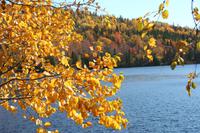 Indian Summer am See