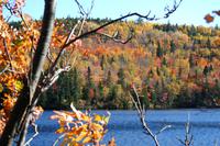 Indian Summer am See