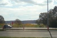 Die Schneegänse sammeln sich am St. Lorenz Strom