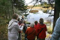 Wir bestaunen ein verlassenes Biberhaus