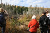 Fotostopp am Biberdamm