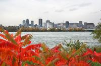 Skyline von Montreal