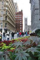 Weg zur Basilika Notre Dame Montreal