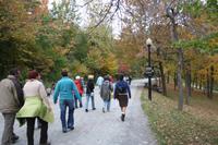 Spaziergang zum Mount Royal