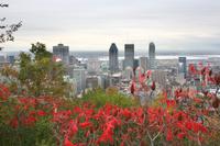 Blick vom Mount Royal auf Montreal