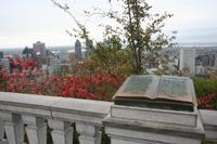 Blick vom Mount Royal auf Montreal