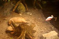 Im Biodome Montreal