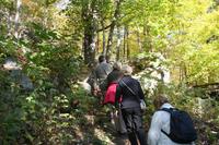 Wanderung zum Feuerwach-Turm im Algonquin