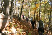 Wanderung zum Feuerwach-Turm im Algonquin