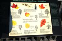 Infotafel am Algonquin-Besucherzentrum
