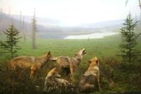 Museum im Algonquin-Besucherzentrum