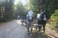 Holzfäller-Museum im Algonquin-Park