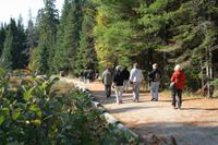 Wanderumg auf dem Holzfäller Trail