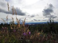 Alaska