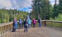 Alexander Wasserfall bei Whistler