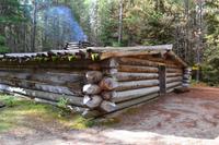 Algonquin Park - Spaziergang auf dem Logging Trail