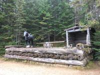 Algonquin Park - Spaziergang auf dem Logging Trail