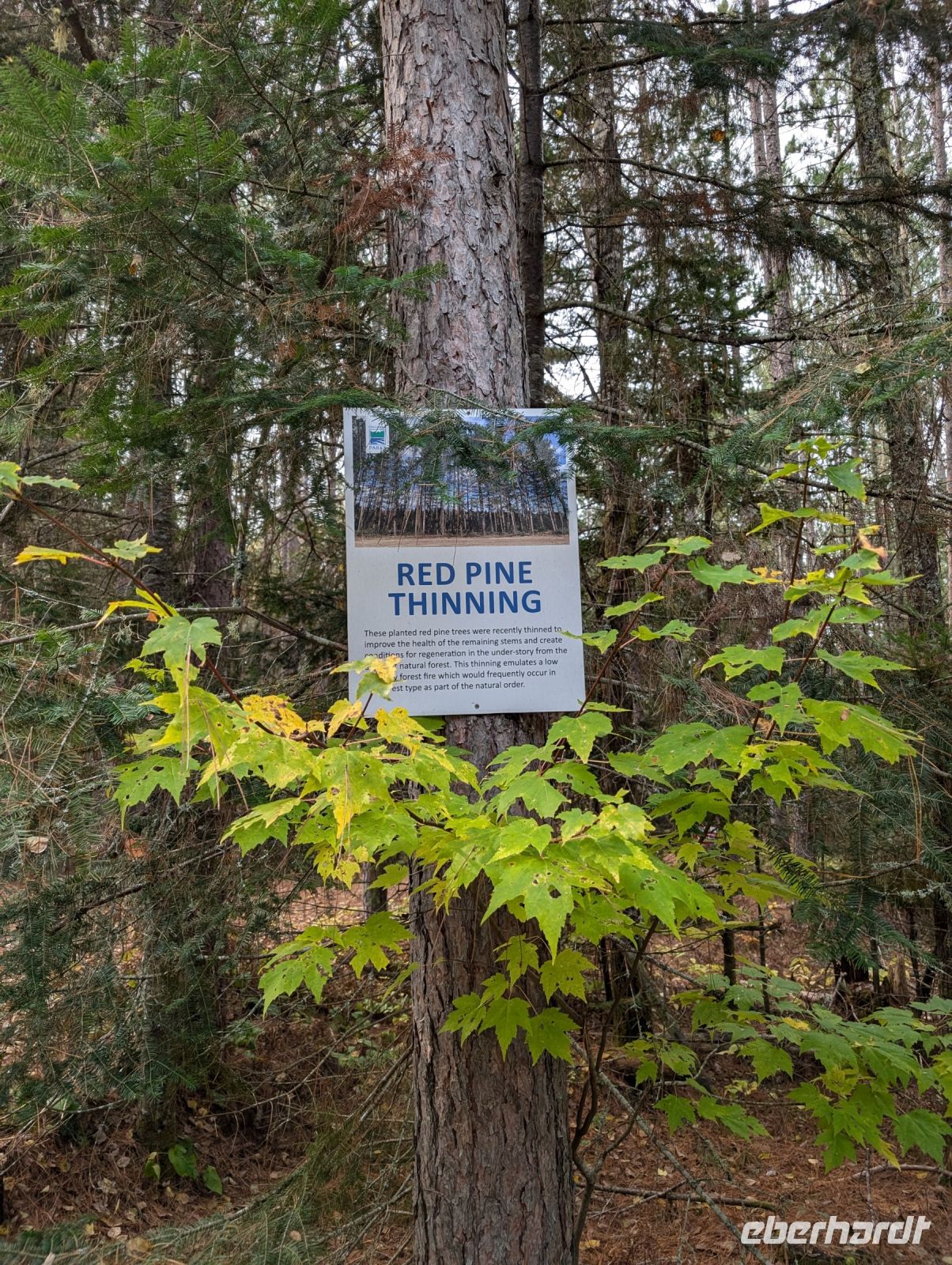 Algonquin Park