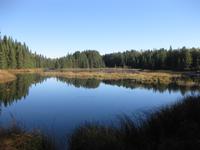 Algonquin Park