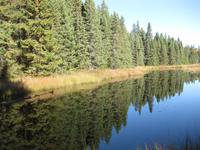 Algonquin Park