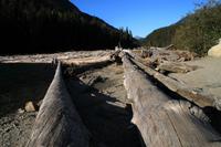 Am Duffey Lake 
