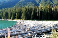 Am Duffey Lake