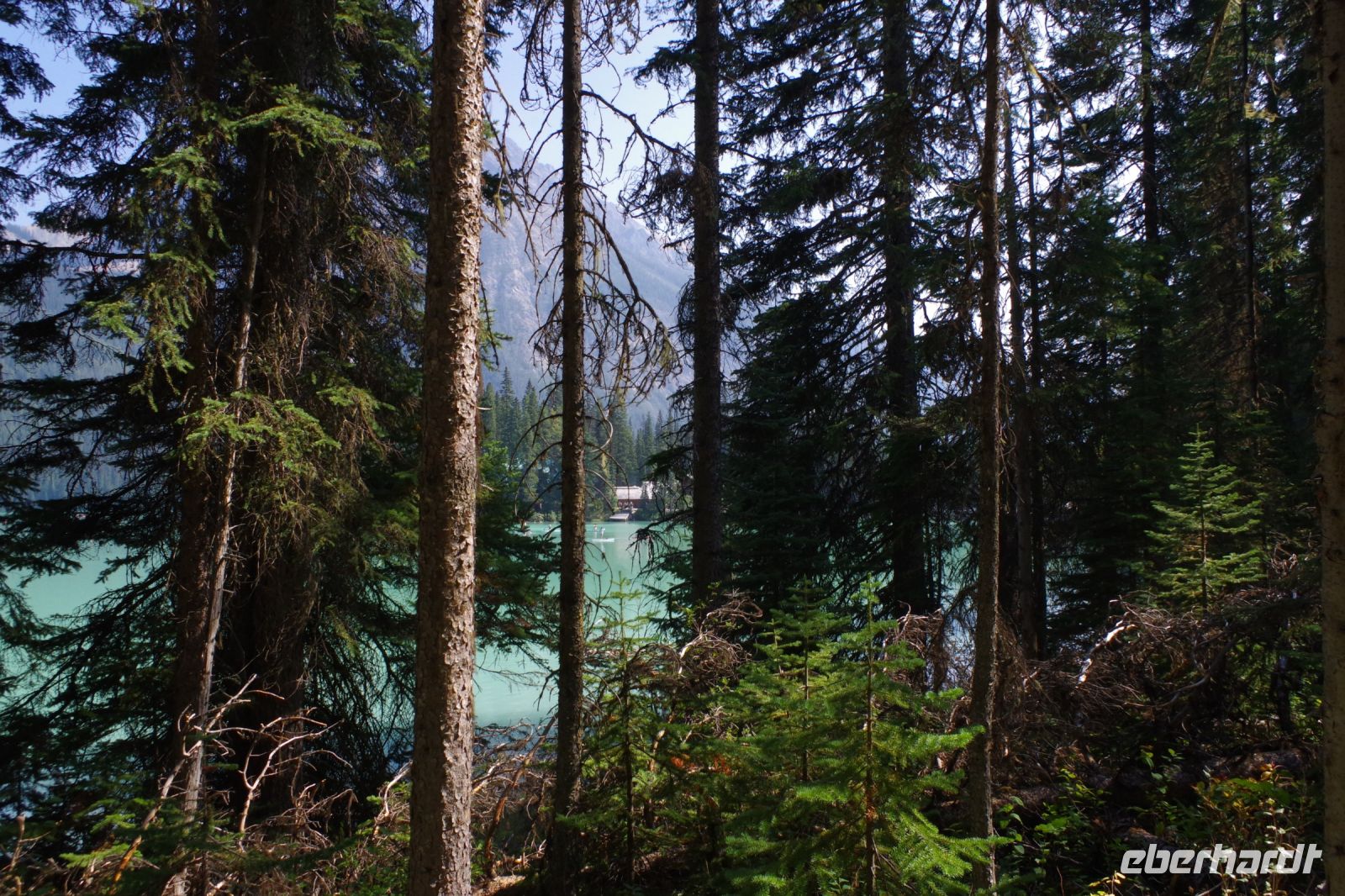 Am Emerald Lake 2