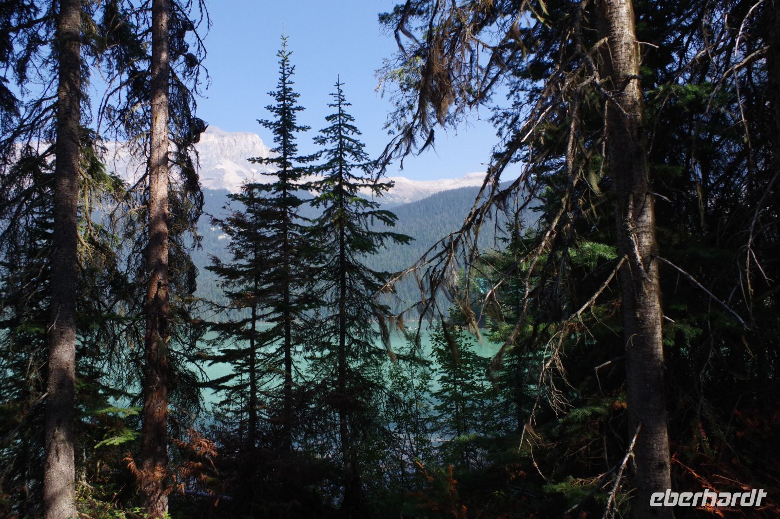 Am Emerald Lake 3