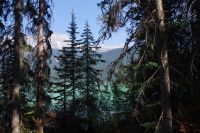Am Emerald Lake 3